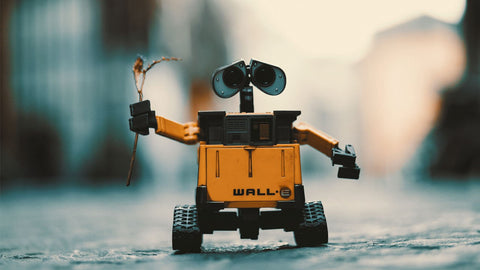 nisl quis ornare molestie